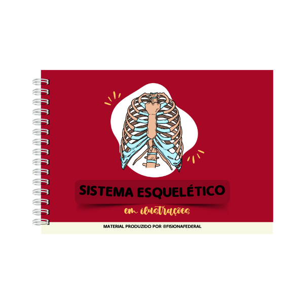 Sistema Esquelético em Ilustração